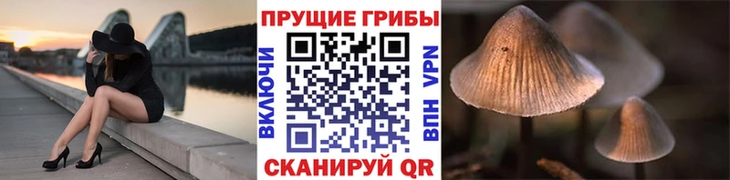купить закладку  Курлово  Галлюциногенные грибы Magic Shrooms 